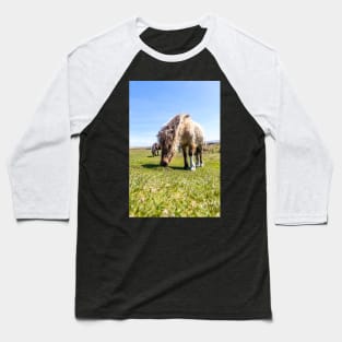 Dartmoor Pony Baseball T-Shirt